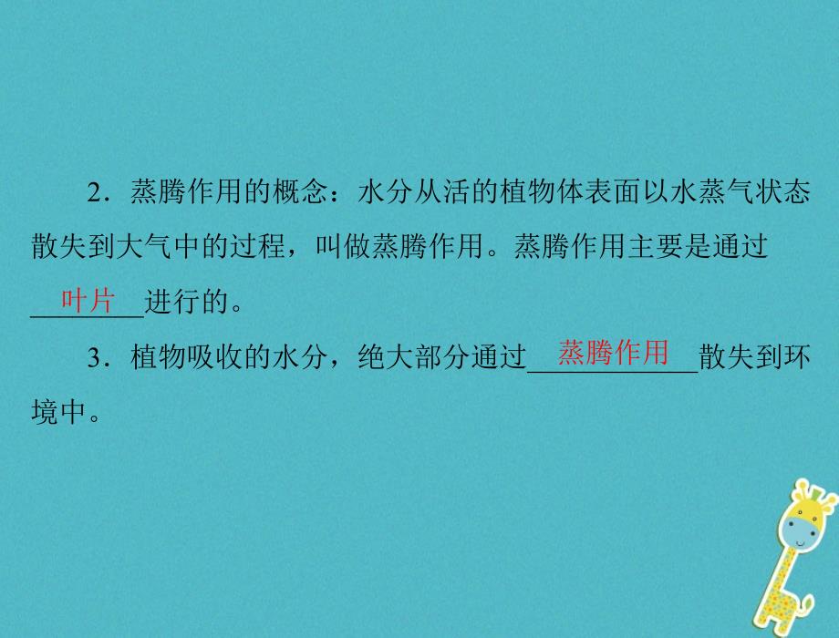 生物 梳理第三章第二讲 绿色植物的蒸腾作用、光合作用和呼吸作用_第4页