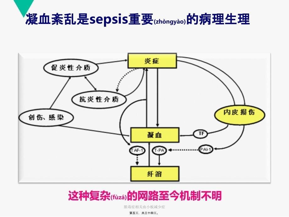 脓毒症相关血小板减少症课件_第5页