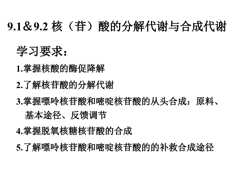 091核酸代谢12081026_第3页