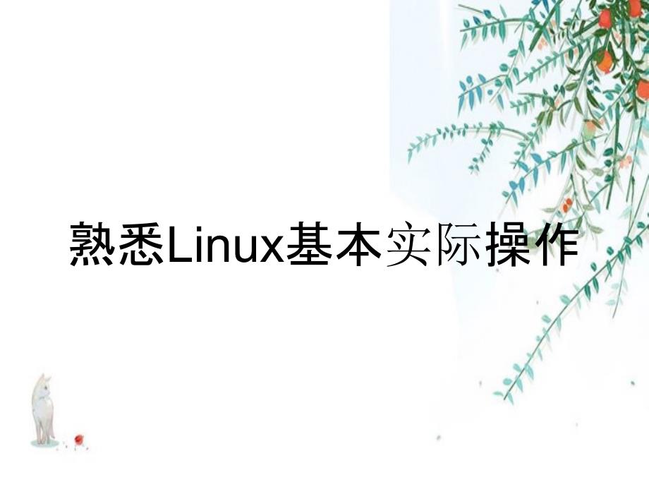 熟悉Linux基本实际操作_第1页