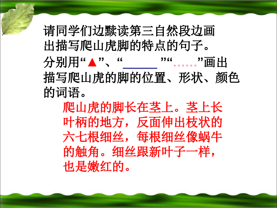 《爬山虎的脚》参考课件 (2)_第4页