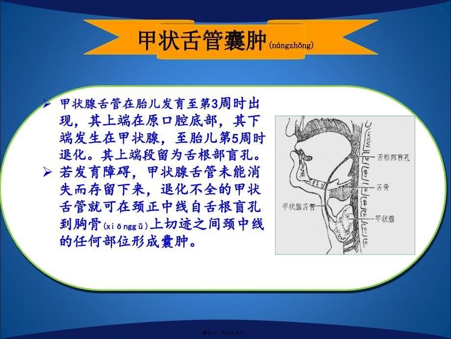 医学专题—第十四讲-颈部囊肿5462_第5页