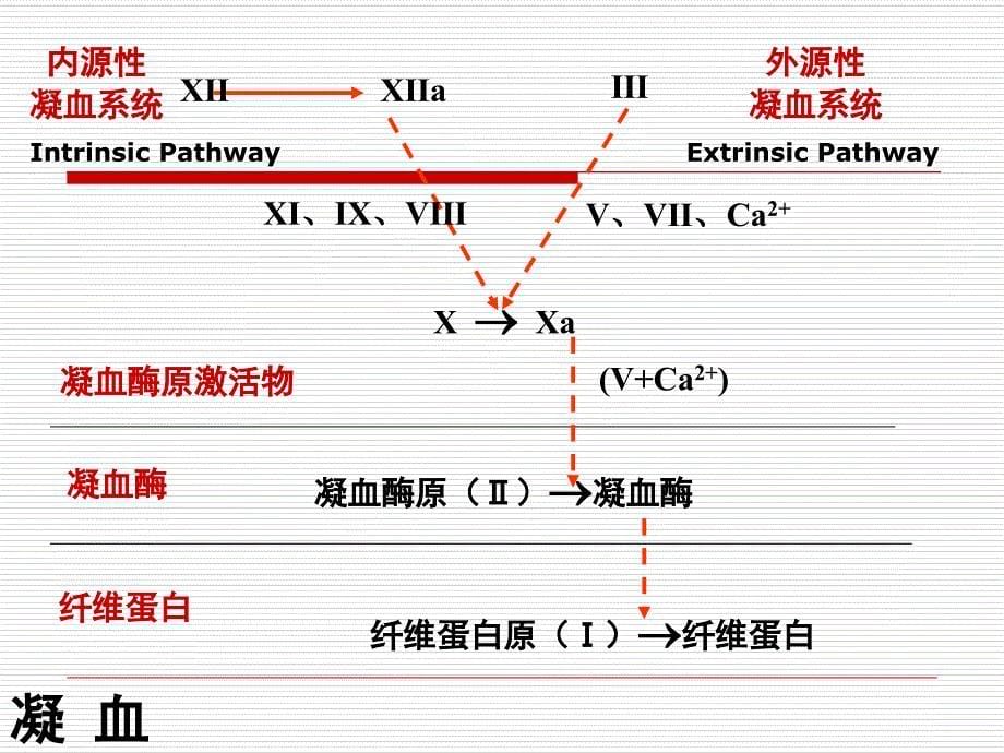 DIC(弥散性血管内凝血)课件_第5页