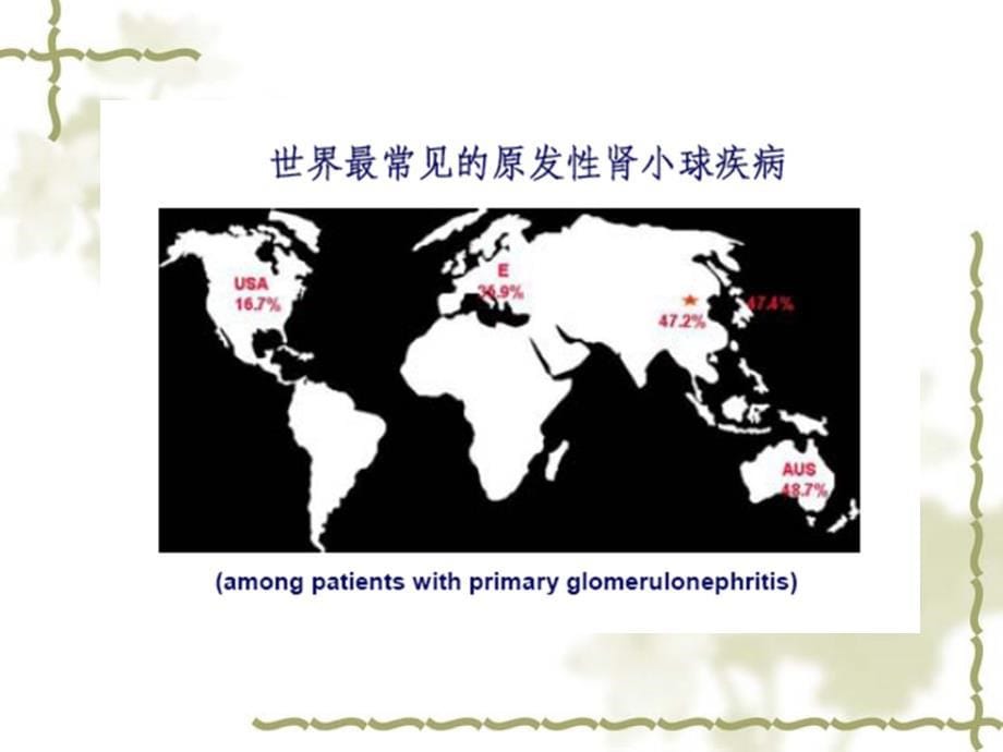 IgA肾病诊治现状_第5页