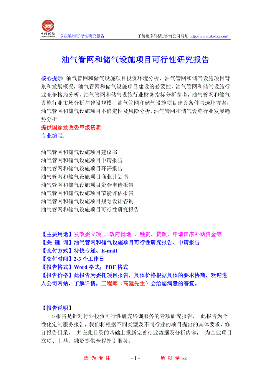 油气管网和储气设施项目可行性研究报告_第1页