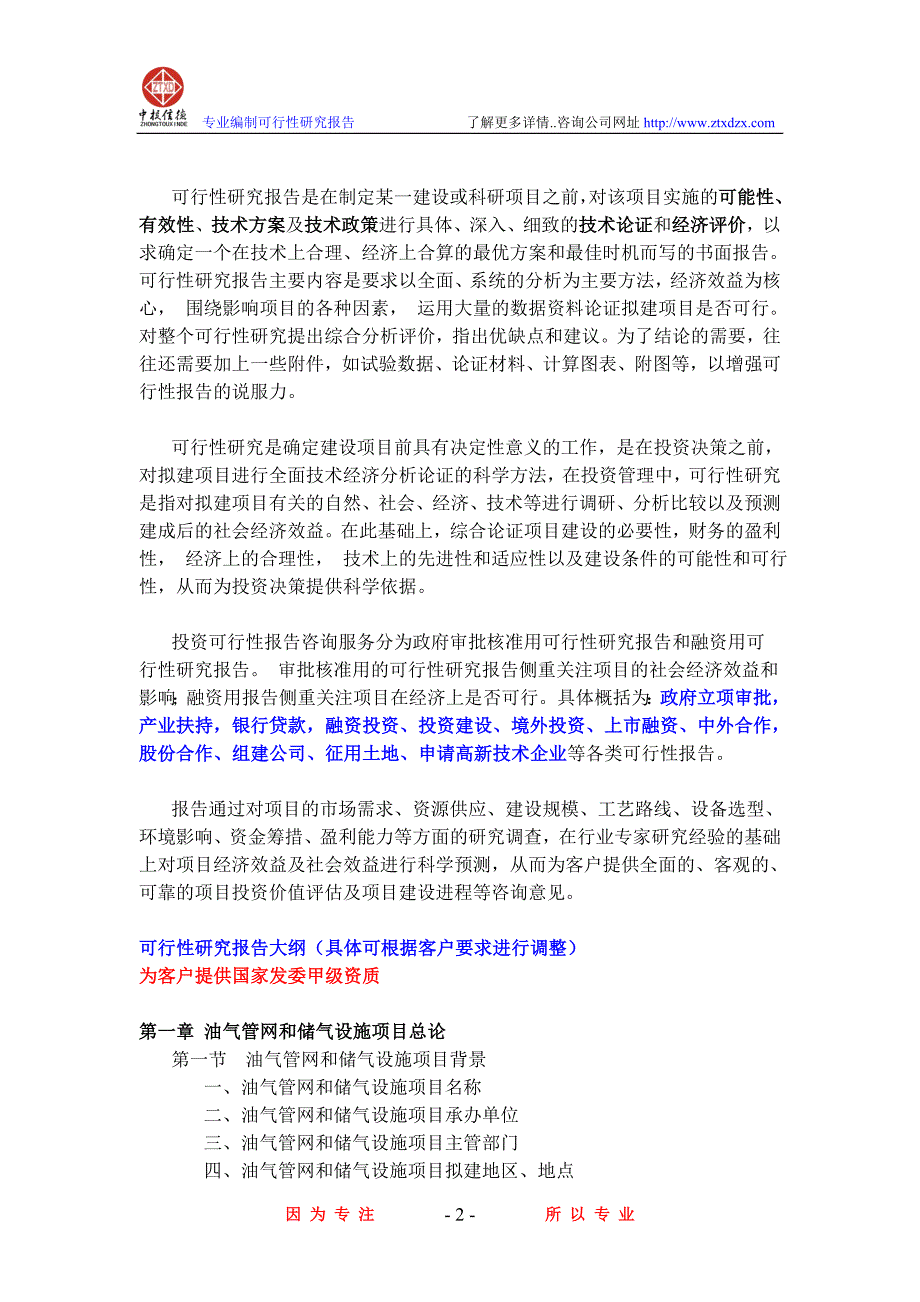 油气管网和储气设施项目可行性研究报告_第2页