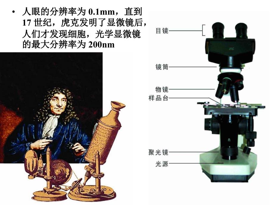 人教版教学课件云南省西盟佤族自治县第一中学高一生物第二章 细胞的基本形态结构与功能课件_第2页