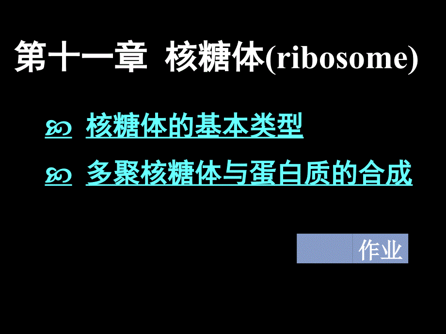 细胞生物学 11-核糖体_第2页