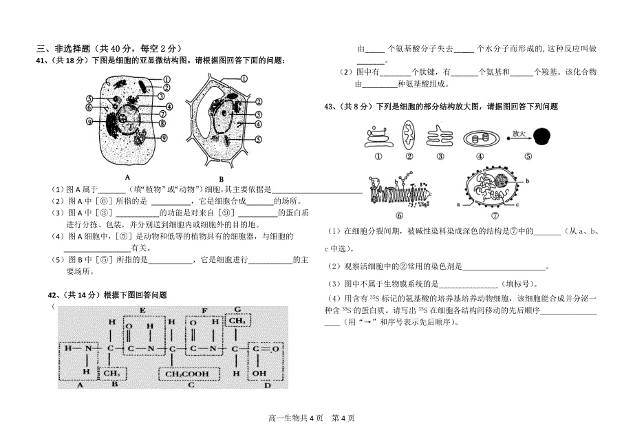 2014-2015学年期中考高一生物试题.doc_第4页