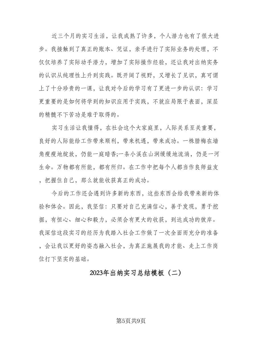 2023年出纳实习总结模板（二篇）.doc_第5页