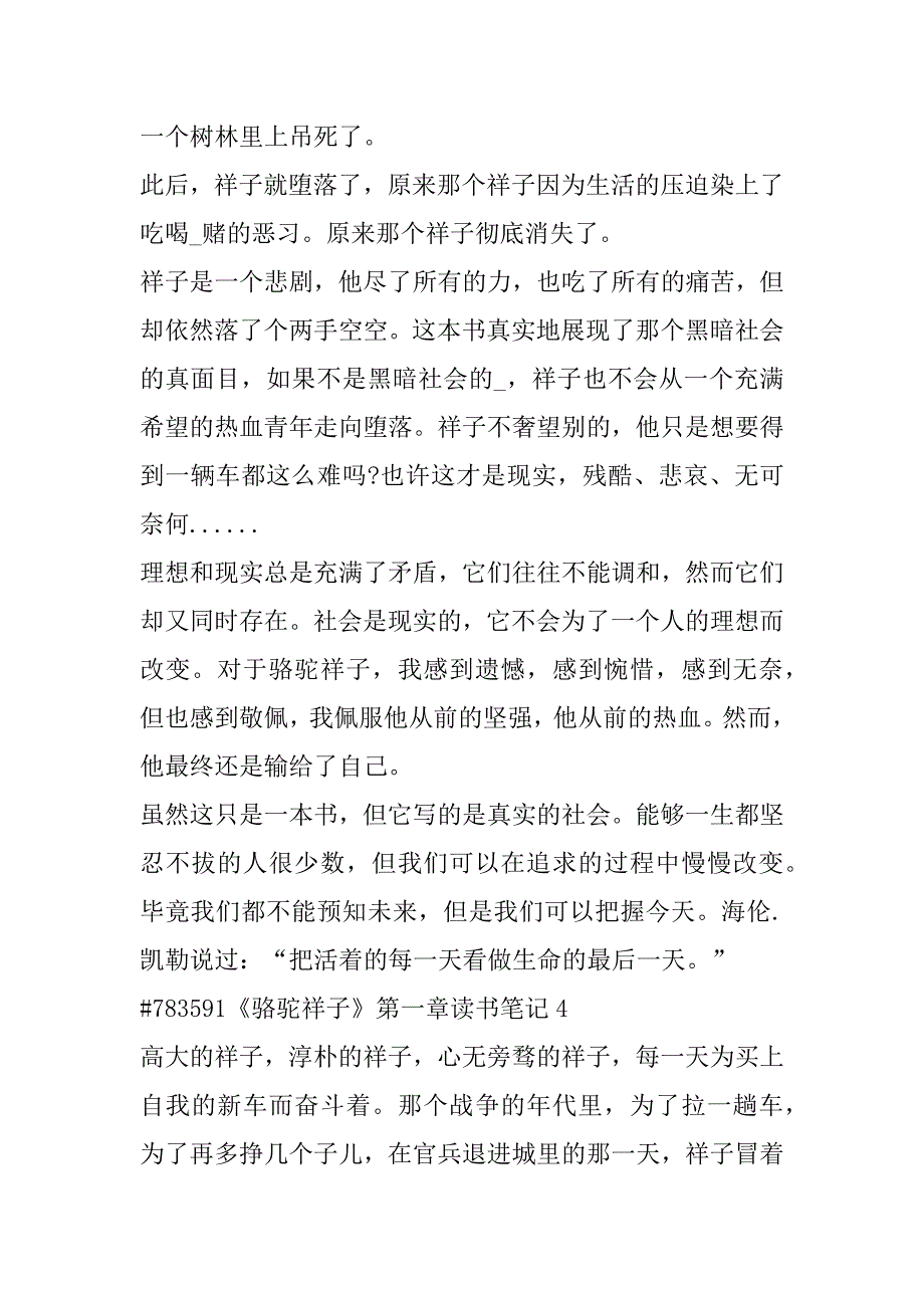 2023年年度《骆驼祥子》第一章优秀读书笔记合集（全文）_第5页