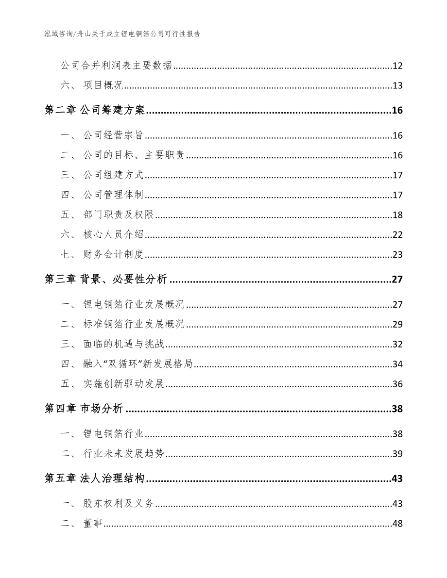 舟山关于成立锂电铜箔公司可行性报告【模板】_第4页