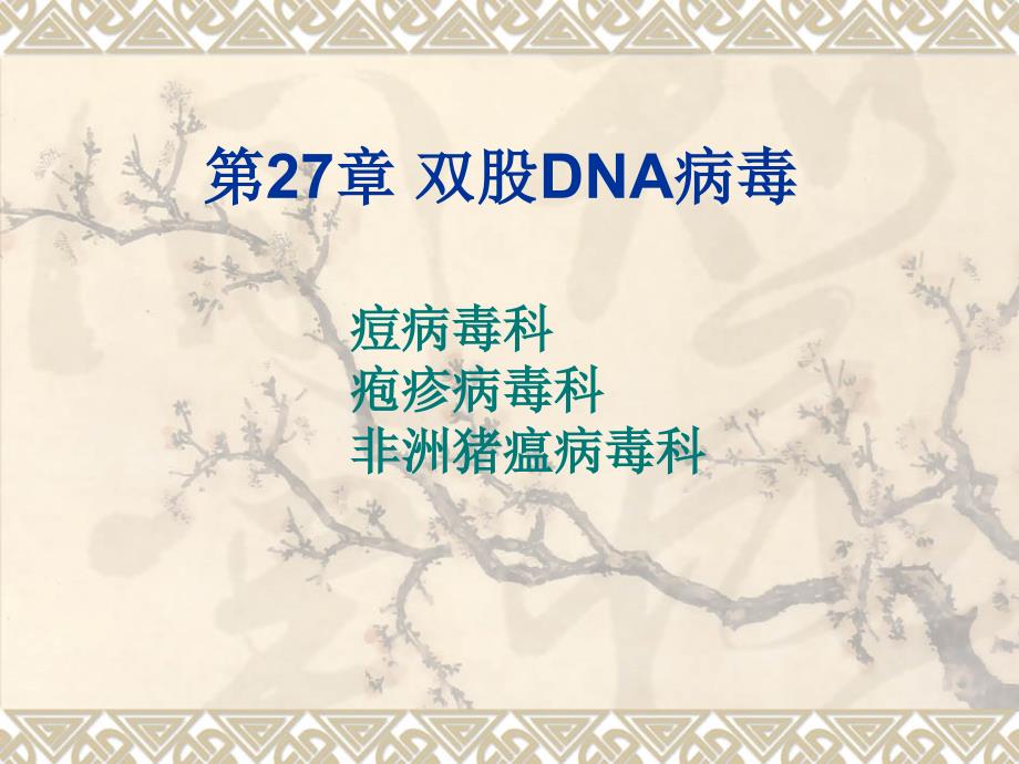 《兽医微生物学教学课件》13.dna病毒_第1页