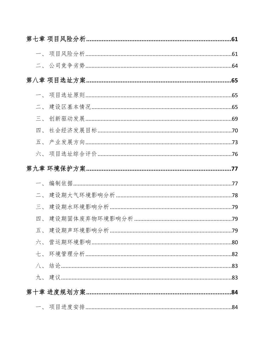 长沙关于成立起动电机公司可行性研究报告_第5页