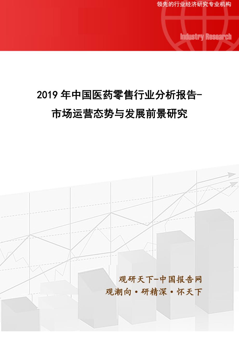 2019年医药零售行业分析报告-市场运营态势与发展前景研究.doc_第1页