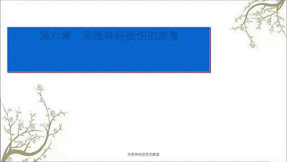 周围神经损伤的康复课件_第1页