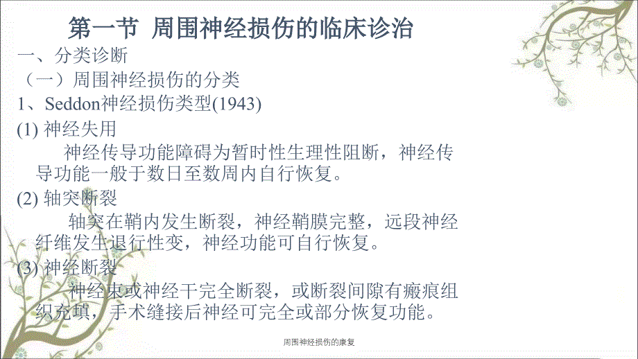 周围神经损伤的康复课件_第2页