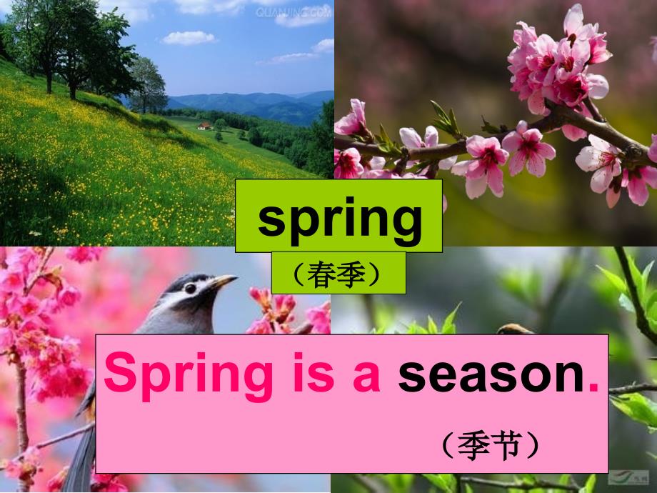 四年级英语下册Seasons第一课时ppt课件_第4页