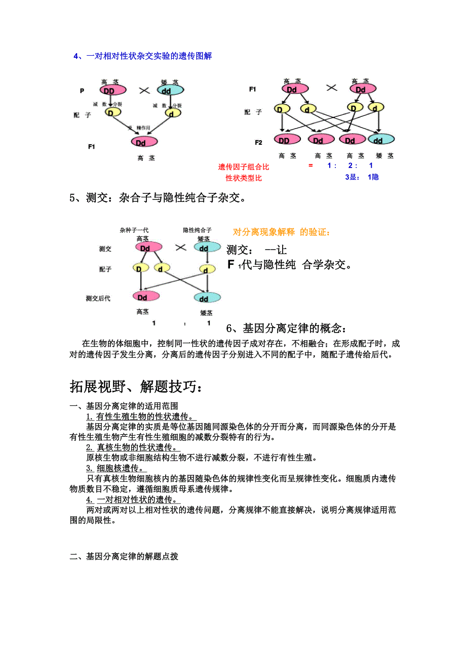 孟德尔的豌豆杂交实验知识点分析_第3页