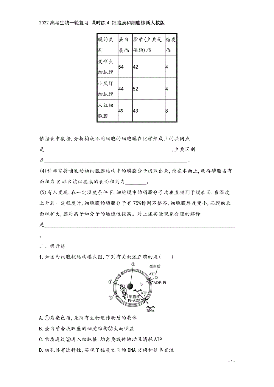 2022高考生物一轮复习-课时练4-细胞膜和细胞核新人教版.docx_第4页