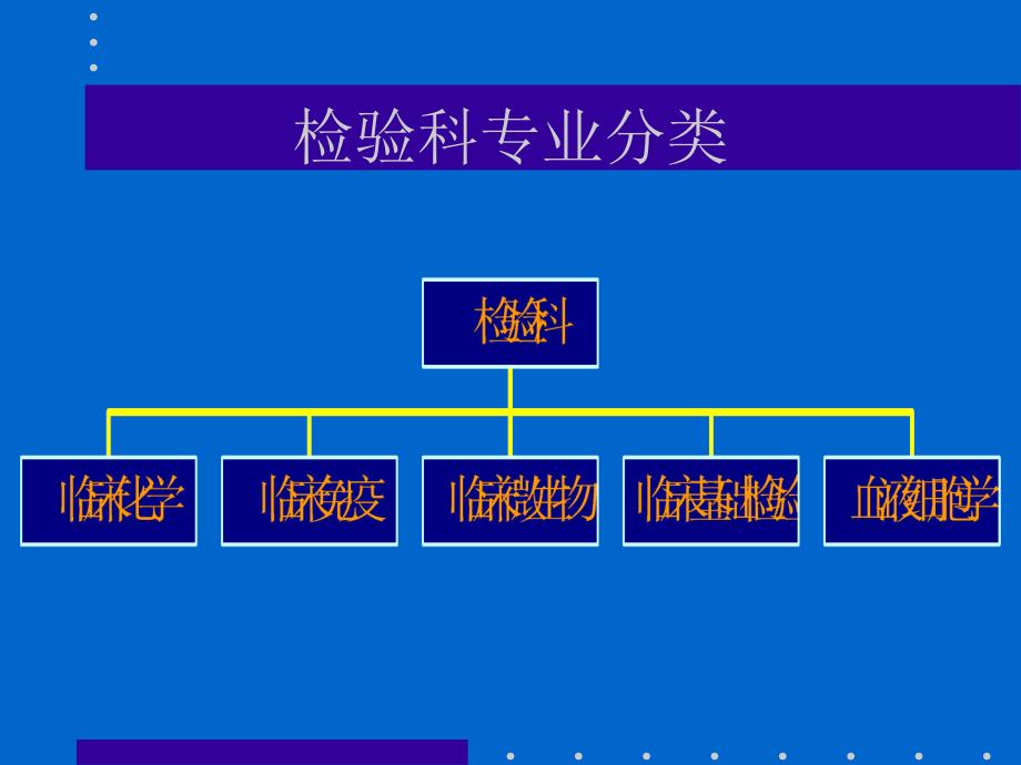 2004检验的临床应用PPT文档资料_第2页