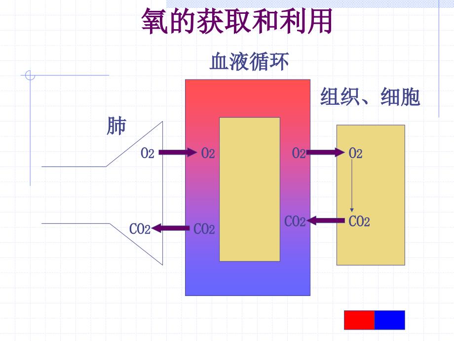 病理生理学：07缺氧_第3页