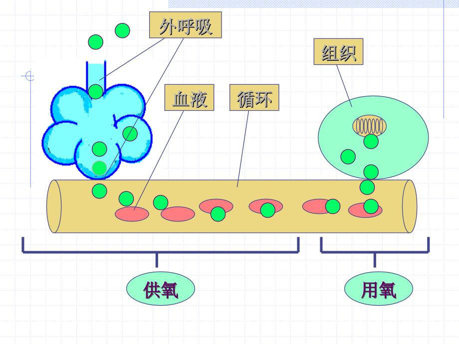 病理生理学：07缺氧_第4页