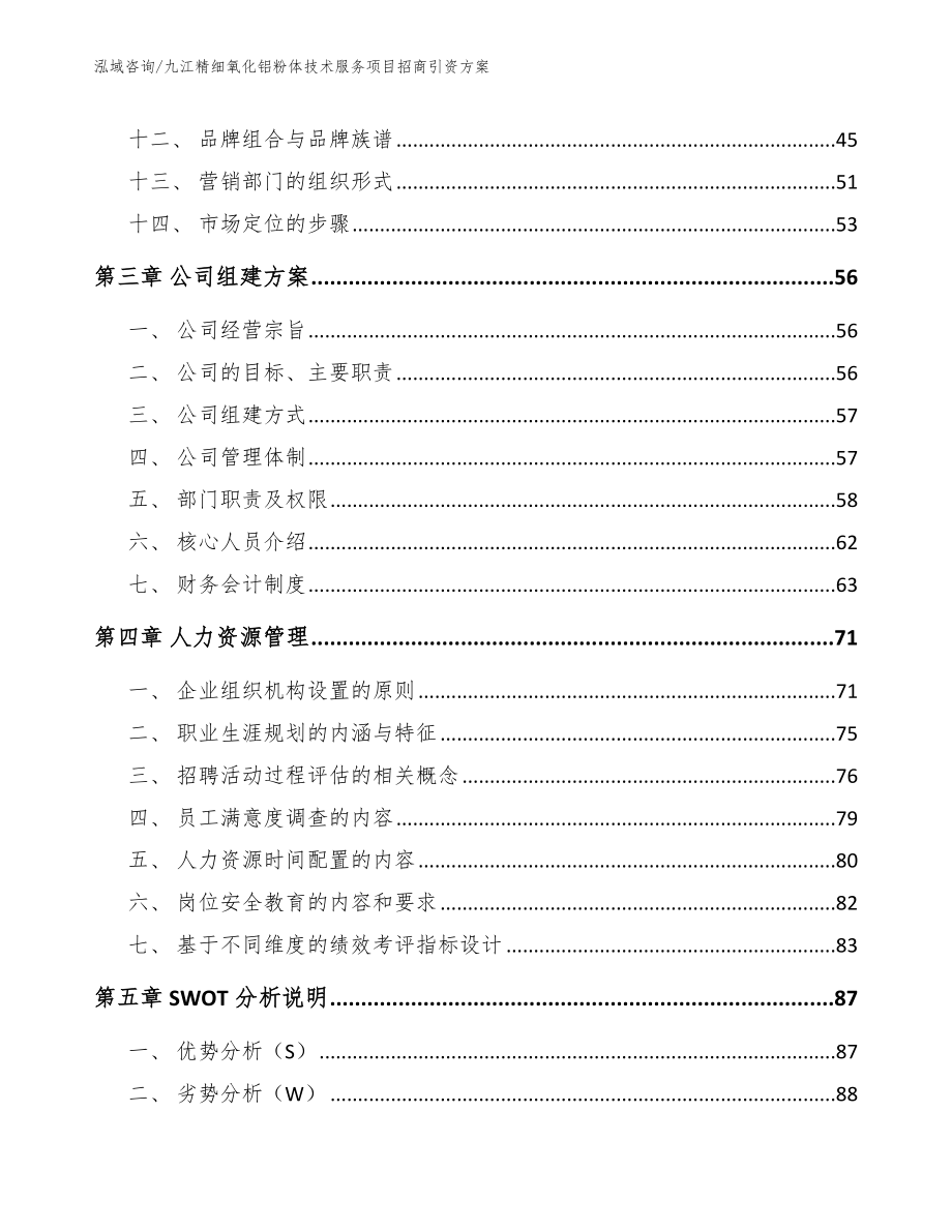 九江精细氧化铝粉体技术服务项目招商引资方案（范文模板）_第2页