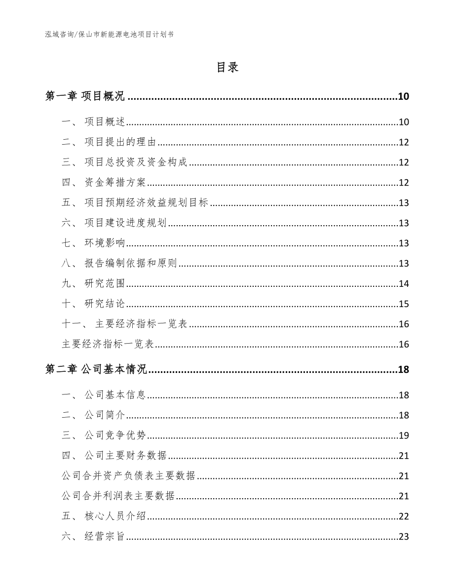 保山市新能源电池项目计划书_第2页