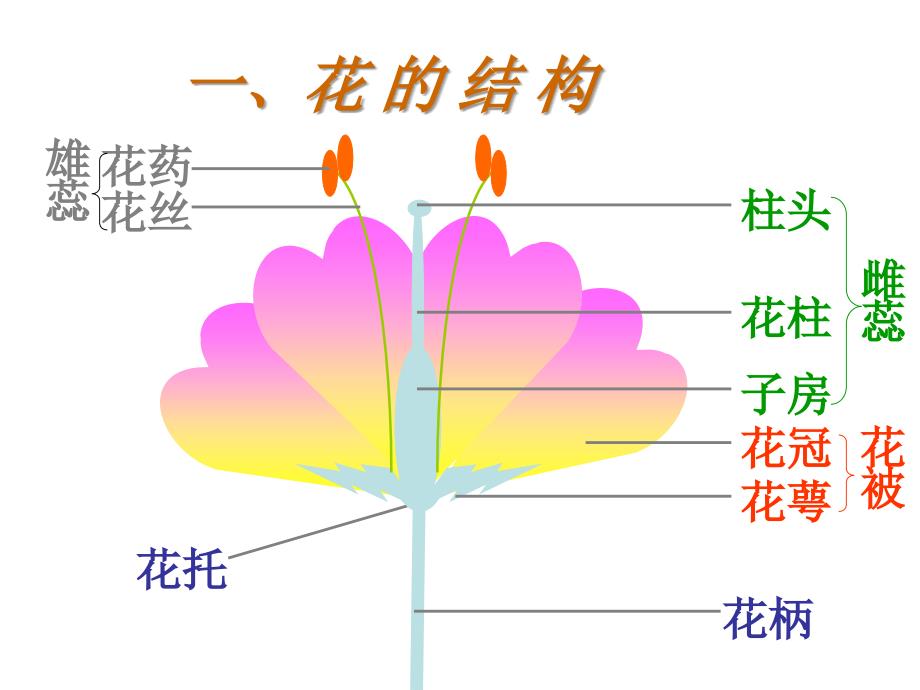 第一节_花的结构和类型_第1页