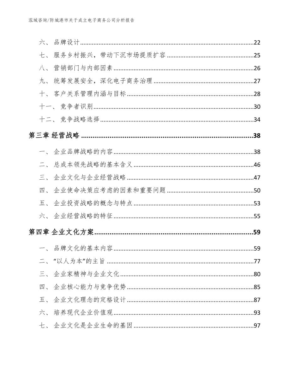 防城港市关于成立电子商务公司分析报告_参考模板_第4页