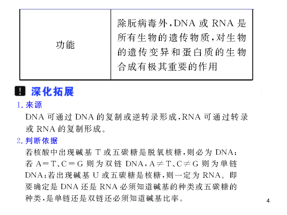 第18讲DNA的分子结构和特点及遗传信息的传递_第4页