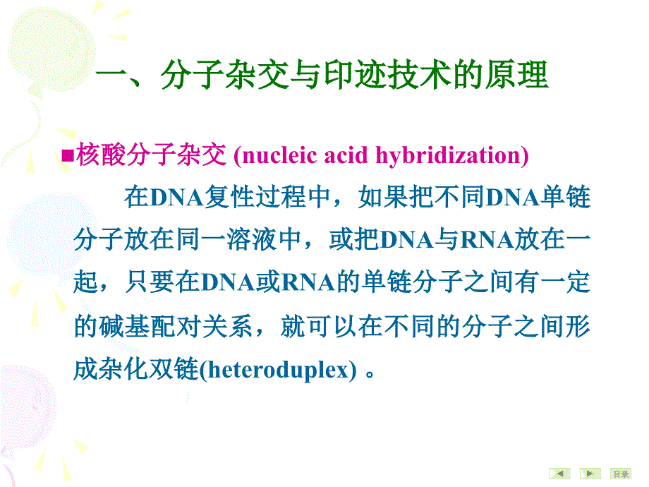 第9999二十一章 常用分子生物学技术的原理及应用_第3页