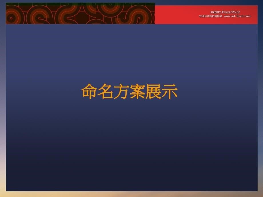 泓霖定岛超纤主品牌命名提案课件_第5页