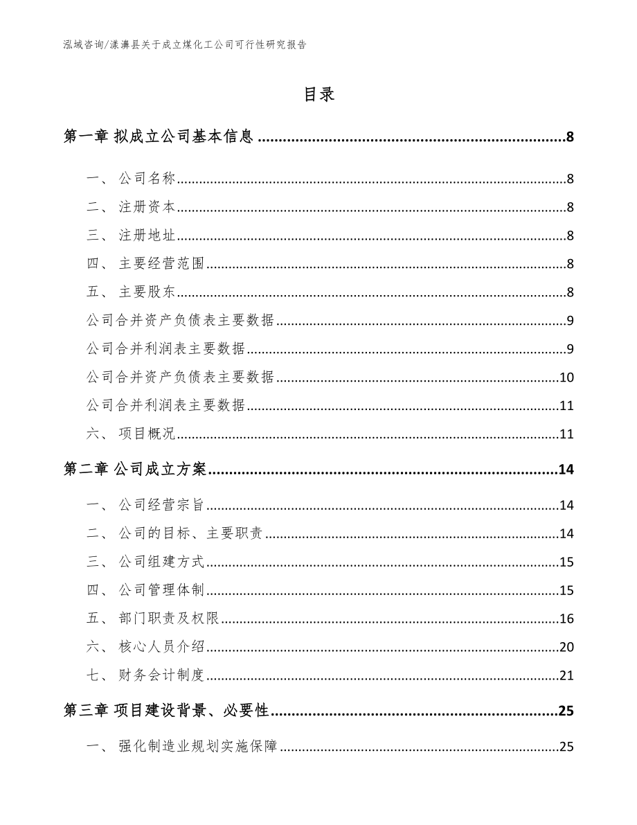 漾濞县关于成立煤化工公司可行性研究报告_第2页