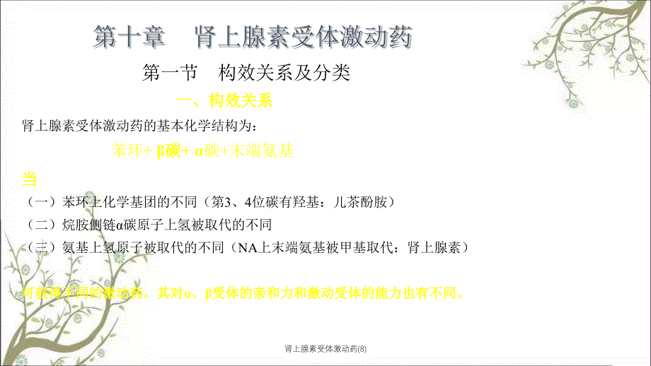 肾上腺素受体激动药(8)_第1页