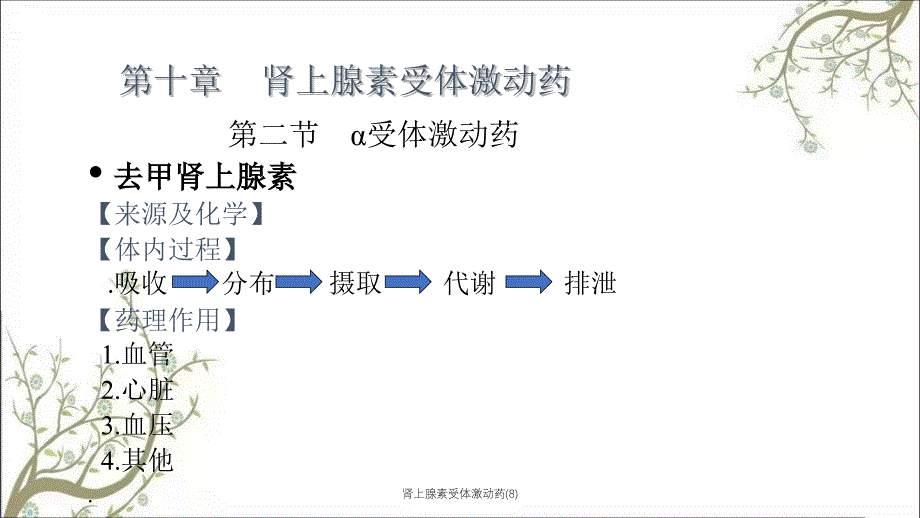 肾上腺素受体激动药(8)_第3页