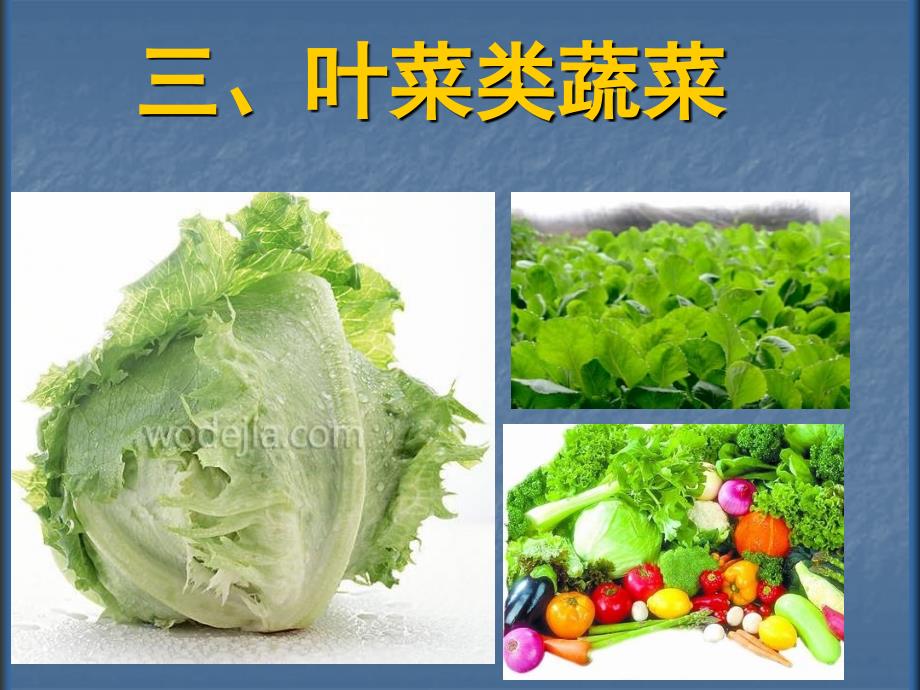 叶菜类蔬菜课件_第1页
