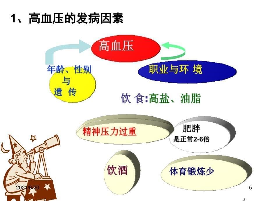 内科护理学课件-高血压_第5页