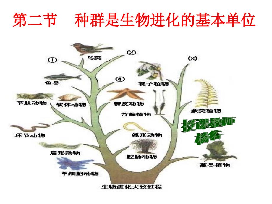 种群生物进化的基本单位_第2页