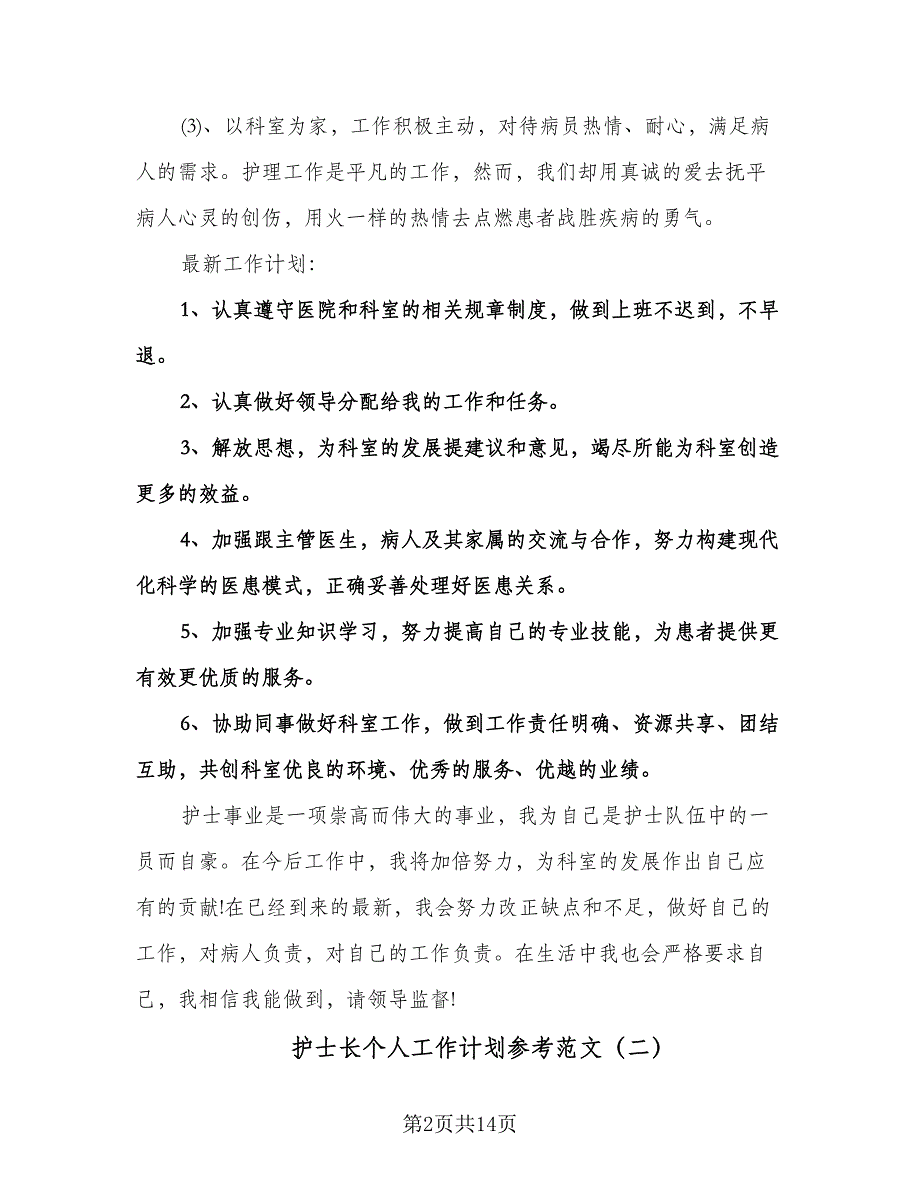 护士长个人工作计划参考范文（四篇）.doc_第2页