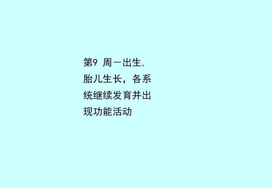 人体胚胎学总论课件.ppt_第5页