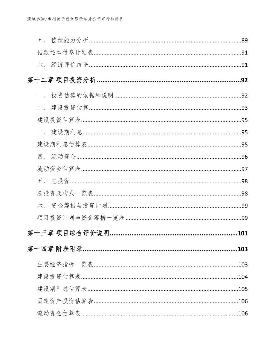 惠州关于成立显示芯片公司可行性报告_第5页