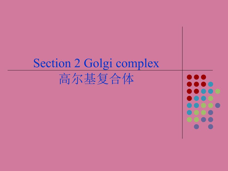 细胞生物学尔基体ppt课件_第2页