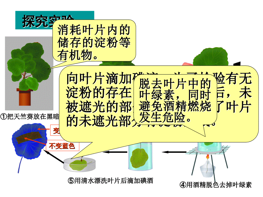 光合作用与呼吸作用 (2)_第2页