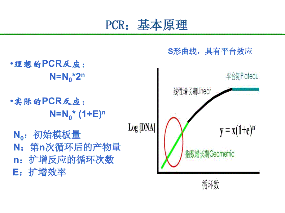 实时荧光定量PCR技术原理_第4页