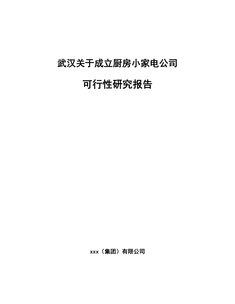 武汉关于成立厨房小家电公司可行性研究报告_第1页