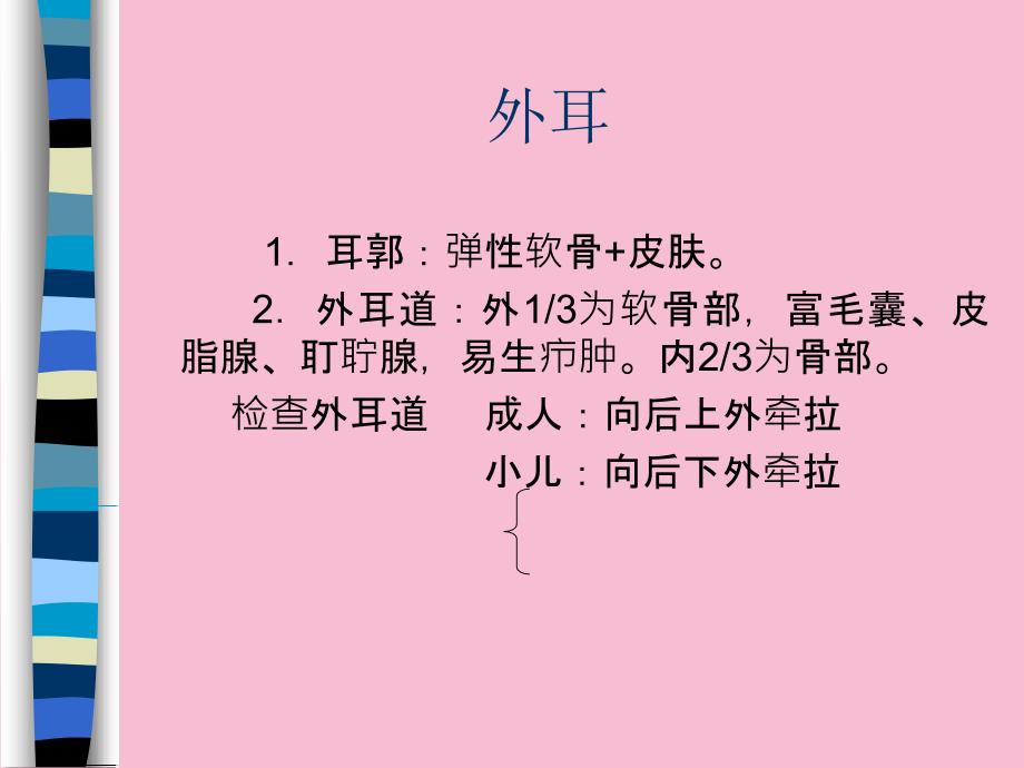 耳鼻咽喉解剖生理ppt课件_第4页