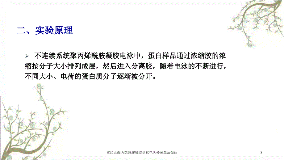 实验五聚丙烯酰胺凝胶盘状电泳分离血清蛋白_第3页