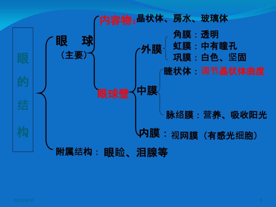 合理用脑,高效学习_第3页